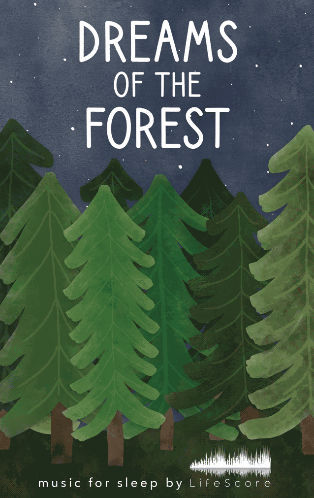 The Dream Collection