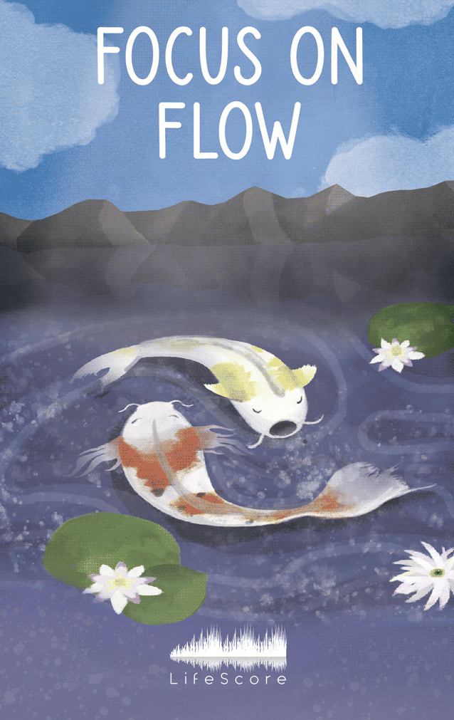 The Focus Collection